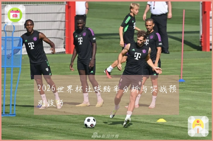2026世界杯让球赔率分析与实战预测技巧