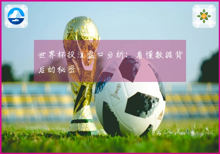世界杯投注盘口分析：看懂数据背后的秘密