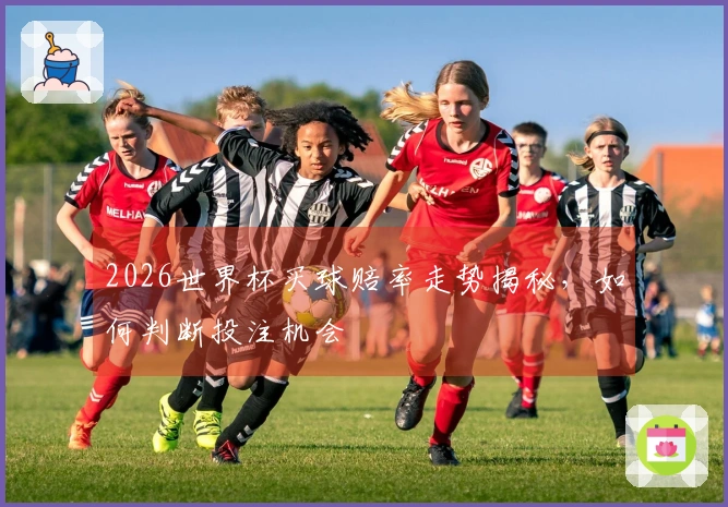 2026世界杯买球赔率走势揭秘，如何判断投注机会