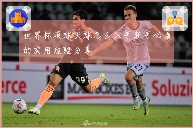 世界杯滚球买球怎么入手新手必看的实用经验分享