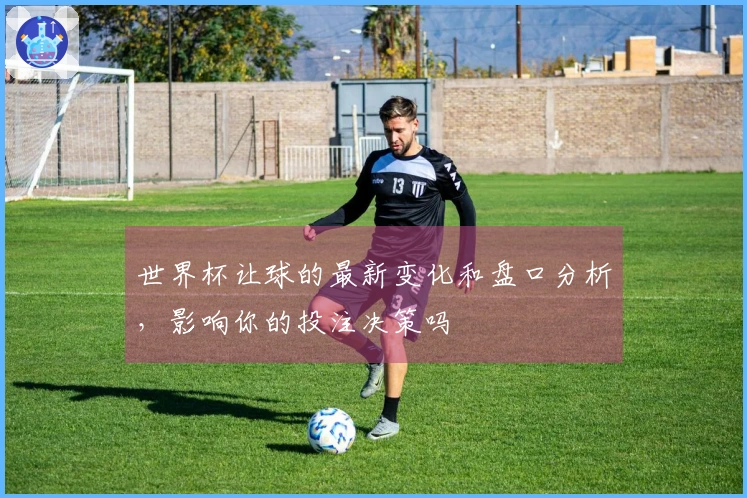 世界杯让球的最新变化和盘口分析，影响你的投注决策吗
