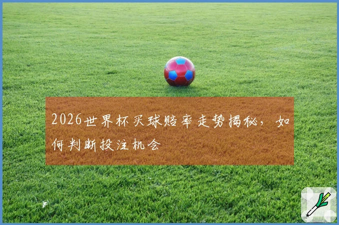 2026世界杯买球赔率走势揭秘，如何判断投注机会