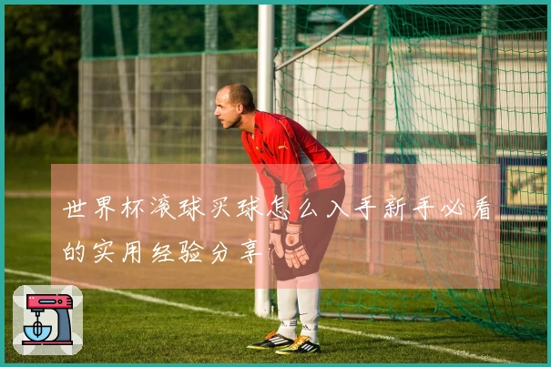 世界杯滚球买球怎么入手新手必看的实用经验分享