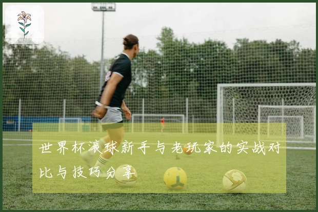世界杯滚球新手与老玩家的实战对比与技巧分享