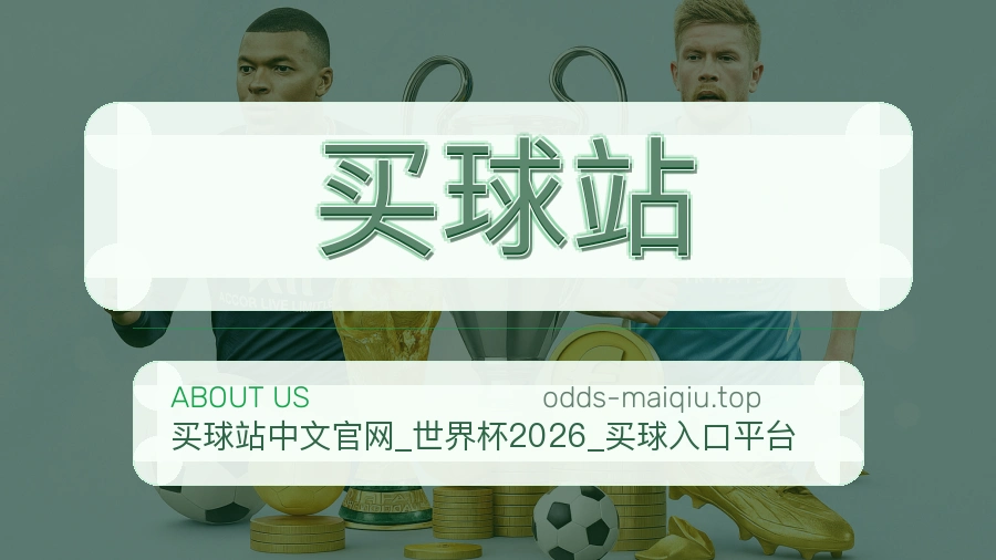 关于平台与客服支持